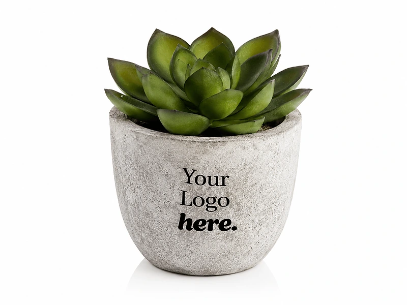 Artificial Succulent Plant in Pulp Pot