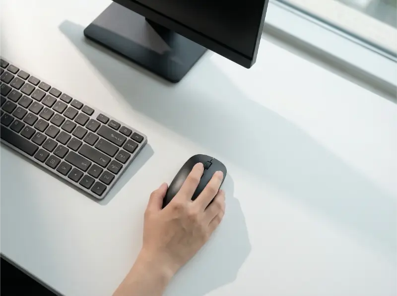 Wireless Optical Mouse