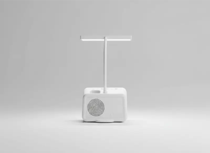 Multifunctional Bluetooth Speaker