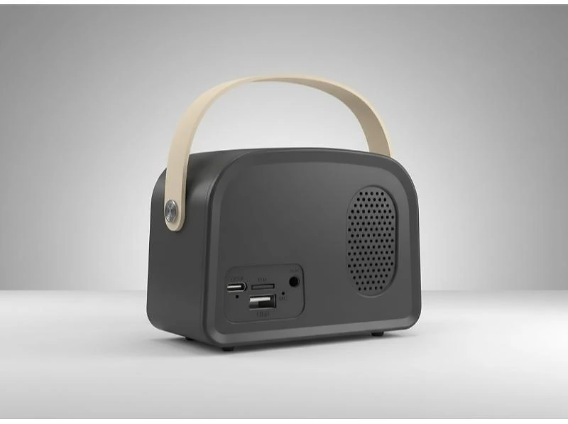Loudspeaker With Timeless Design