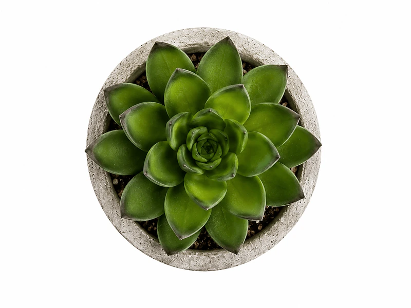 Artificial Succulent Plant in Pulp Pot