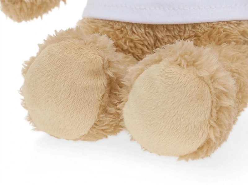 Soft Plush Teddy