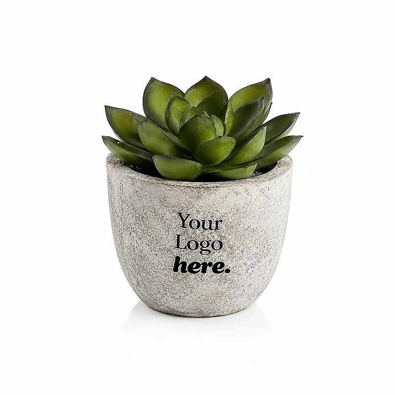 Artificial Succulent Plant in Pulp Pot