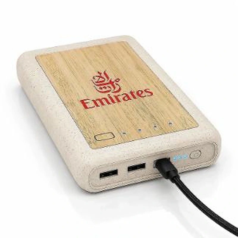 wheat straw & bamboo Powerbank