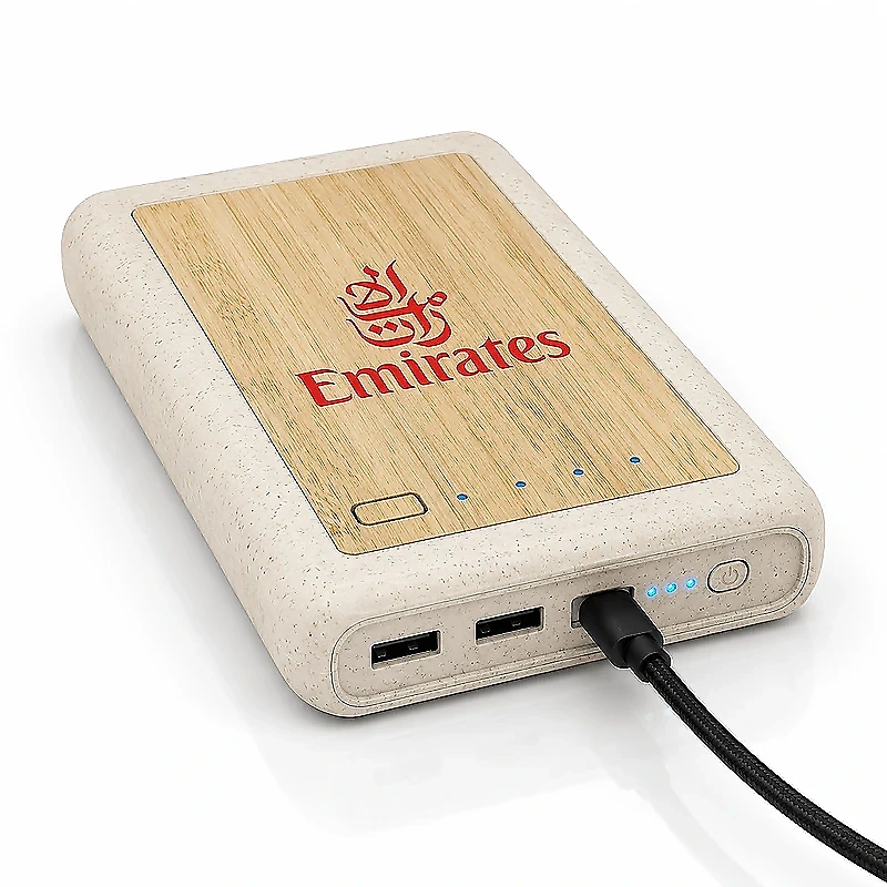 wheat straw & bamboo Powerbank