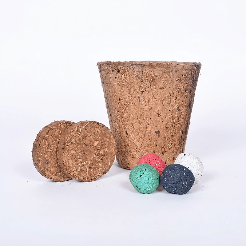 All-in-One Plant Grow Kit